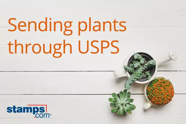 What you need to know about mailing plants